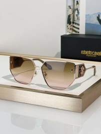 Picture of Roberto Cavalli Sunglasses _SKUfw74777887fw